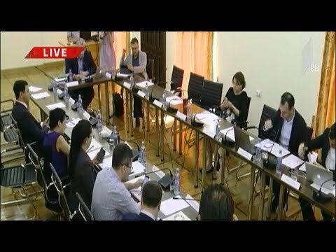 დროებითი საგამოძიებო კომისიის სამუშაო შეხვედრა