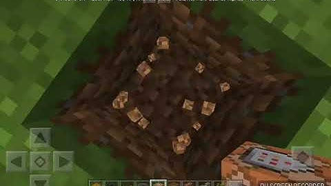 How to live in a tree