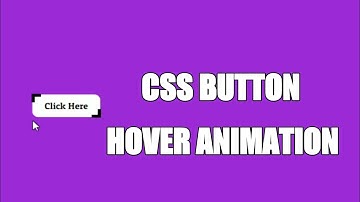Button Hover Animation Using HTML and CSS | WP Today |