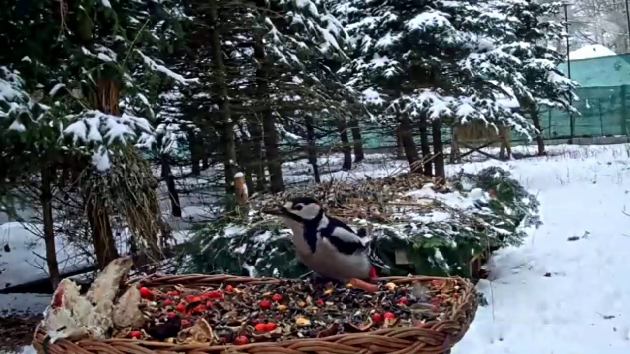 LIVE Nottingham street cam. YouTube