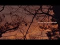 Vance Joy - Daylight [Official Lyric Video]
