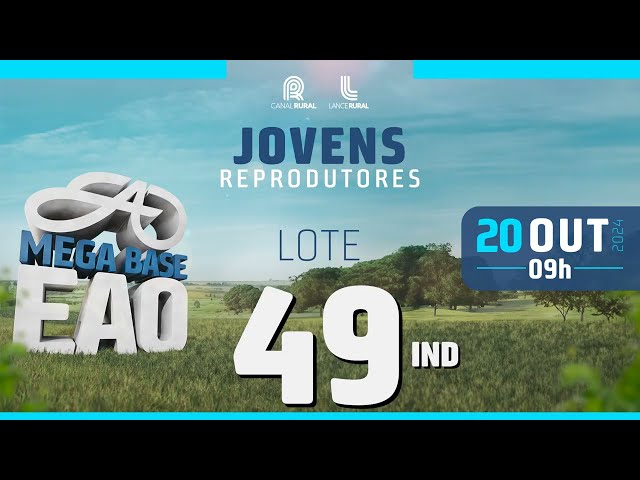 LOTE 49