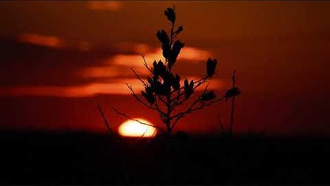 ما أجملها تلاوة تُريح القلوب أرح بها بالك ومسمعك أجمل ماسمعت