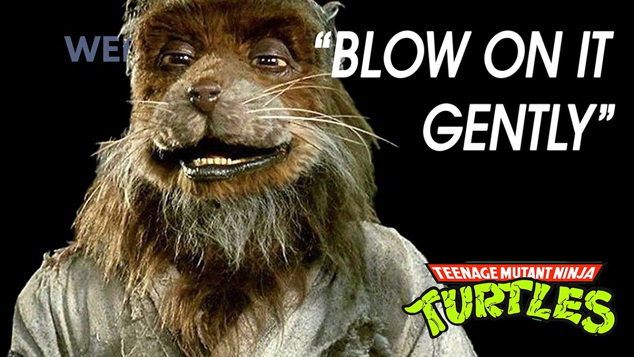 Master Splinter In Love - YouTube