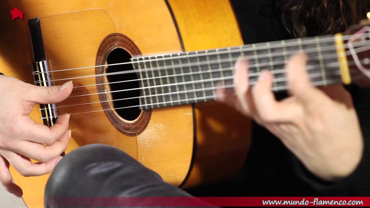 Amir John Haddad Rondeña