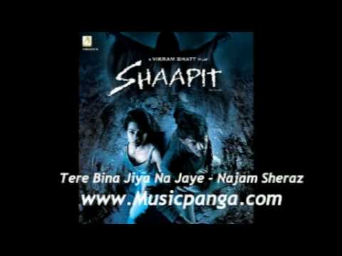 Tere Bina Jiya Na Jaye - Najam Sheraz