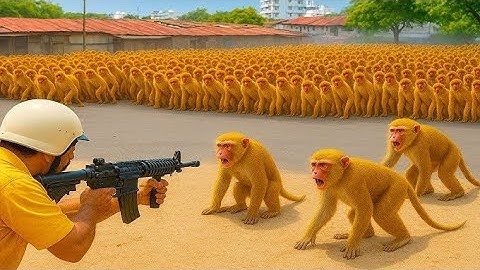 Battling Baboons – How Farmers Fight Back Against Millions of Crop-Raiding Invaders