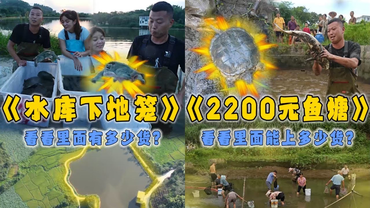 花2000元在深山大水库里下4个地笼，看看到底能上多少货？｜花2200元包下一口城中村鱼塘，看看里面到底会有什么？｜#户外抓鱼 #户外捕鱼 #小飞哥抓鱼 #乡村生活 #农村生活