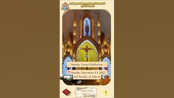 ✨ Sunday Gospel Reflection ✨📅 Sunday, December 14, 2025 -3rd Sunday of Advent📖