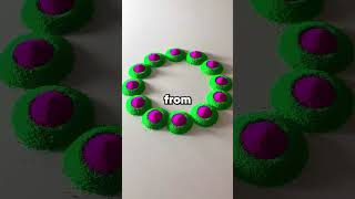 When the real estate agent showed me the house, she said, "I sold you this same property in 2008"—I