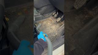 Foam Wash + Pressure Wash | Most Satisfying Car Cleaning Ever