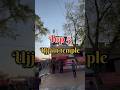 Top 5 ujjain temple after mahakaleshwar jyotriling | #shortvideo #ujjain