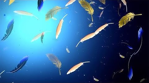 Feathers Falling Stock Motion Graphics