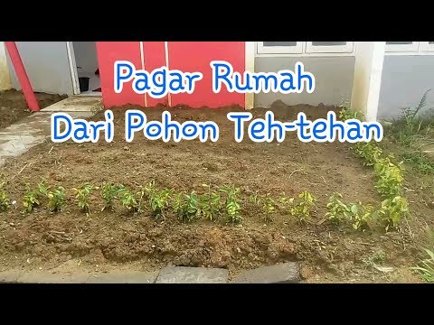 Video: 3 Cara Membuat Lukisan Hiasan di Kayu