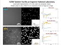 Dynamics of Microstructural Evolution in Materials under Irradiation