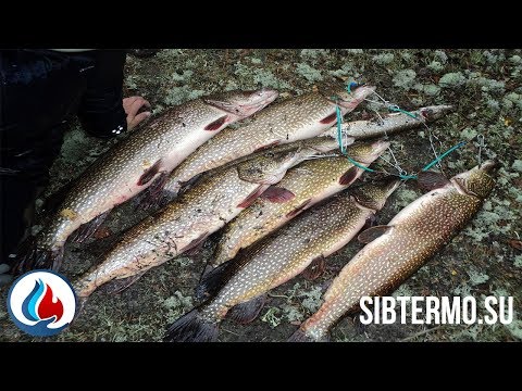 Осенняя рыбалка в ХМАО | Трофейные щуки от 10кг! | Часть 1