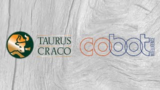 Download Lagu COBOTINTEL Full Door Sanding MP3