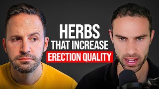 Herbs That Increase Erection Quality