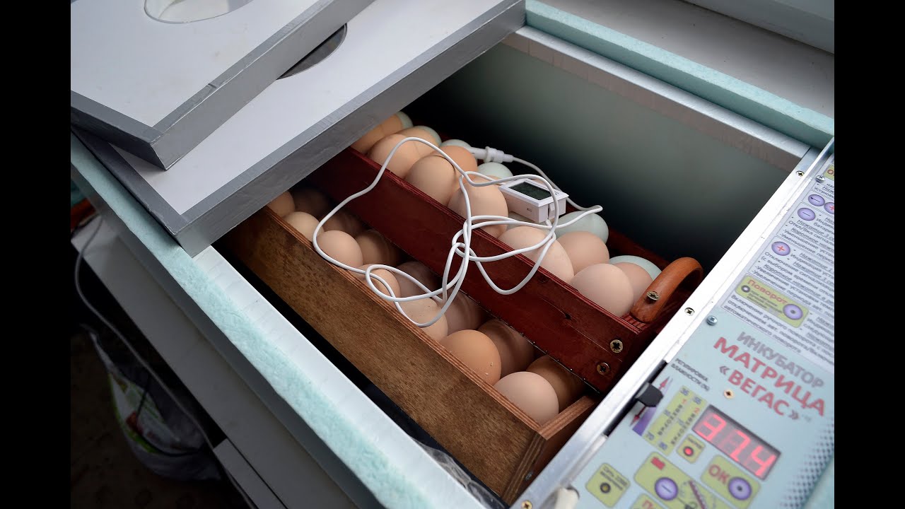 Матрица дели 72 Матрица дели 72