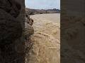 سيل نشط وادي الجزي بولايه صحار 23 3 2026