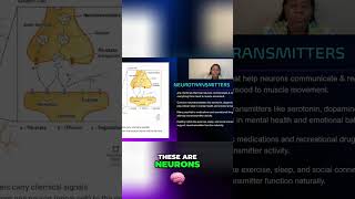 Neurons: Meet Your Amazing Nerve Cells! #shorts