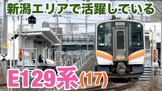 【走行シーン】新潟エリアで活躍しているE129系(17)
