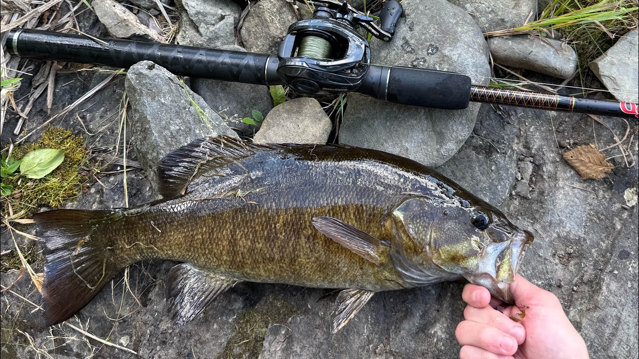 2 days of Maine Smallmouth Bass fishing