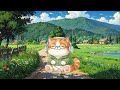 Relaxing Music for Stress Relief  |1 Hour Calm Ambient Music to Study &amp; Sleep