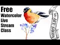 Live streaming watercolor class Funny Fall Bird on Twig | TheArtSherpa