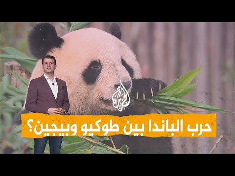 شبكات | الصين تعاقب اليابان وتسترجع توأم "الباندا"