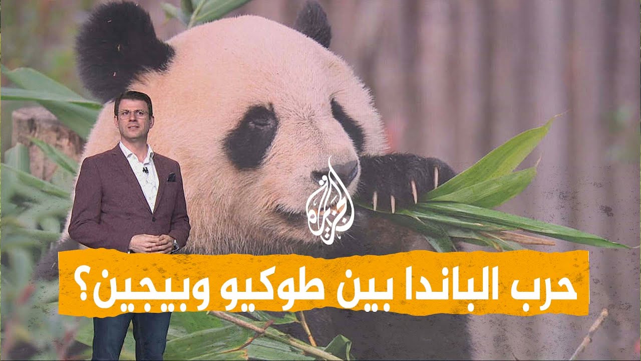 ����� | ����� ����� ������� ������� ���� -�������-
 - نشر قبل 8 دقيقة