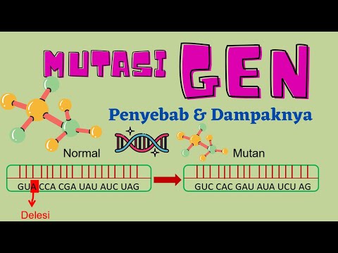 Video: Kesan Mutasi Dalam Gen Pengubahsuaian Metilasi DNA Pada Landskap Metilasi Genom Dan Pengaktifan Gen Hiliran Dalam Pan-kanser