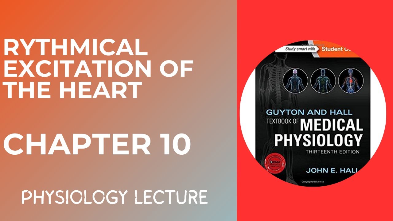 Physiology Chapter 10 | Rhythmical Excitation Of The Heart | Study ...