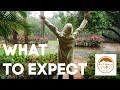 WHAT TO EXPECT | Arriving at Rythmia Life Advancement Center