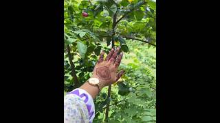 Visit Our Facebook Page : Mehendi by Lima, Link in description box! #foryou #highlights #viral
