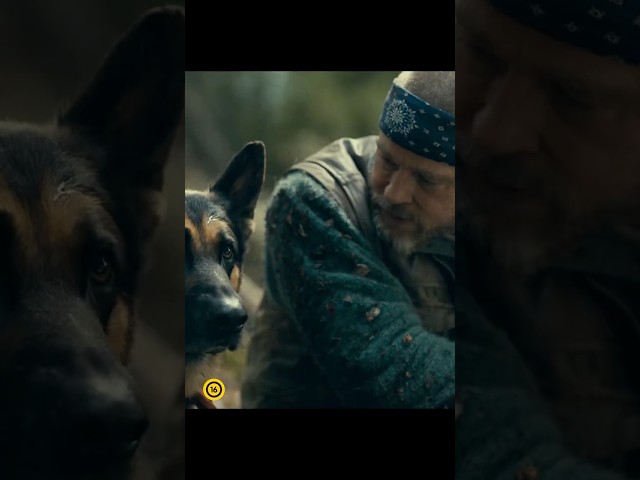 Videó borítókép