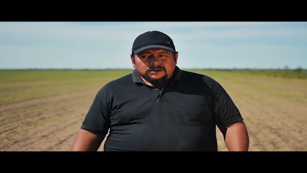 Plan multisectorial de trigo