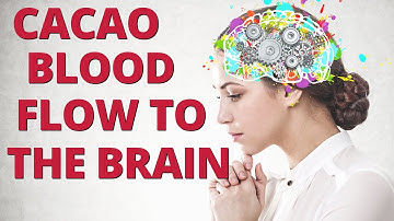 How Chocolate Can Improve Blood Flow to the Brain