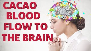 How Chocolate Can Improve Blood Flow to the Brain