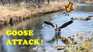 Trout Fishing in Wisconsin at Lost Creek - Pierce County