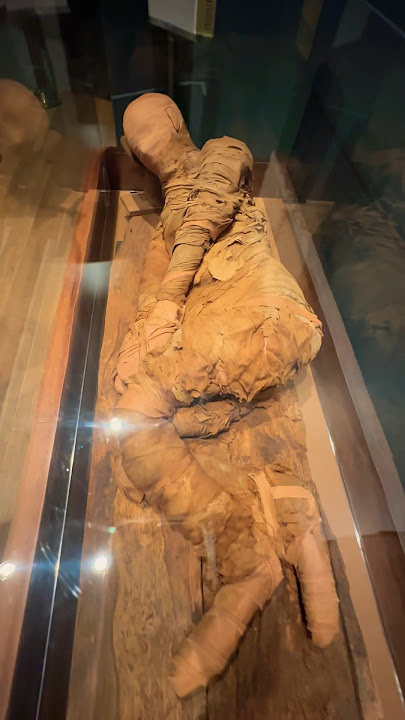 Ancient Egyptian mummy on display. #ancient #mummy #egypt #ancienthistory