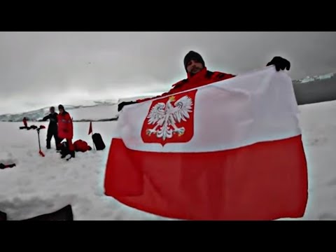 POLSKA VS ANTARKTYDA ODC. 3 - Wapniak miłość meaning