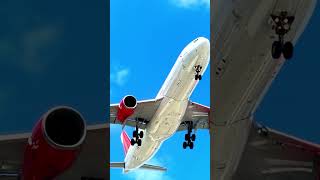 19-Year-Old Airbus A330 Freighter | Avianca Cargo Mexico A330-343P2F 