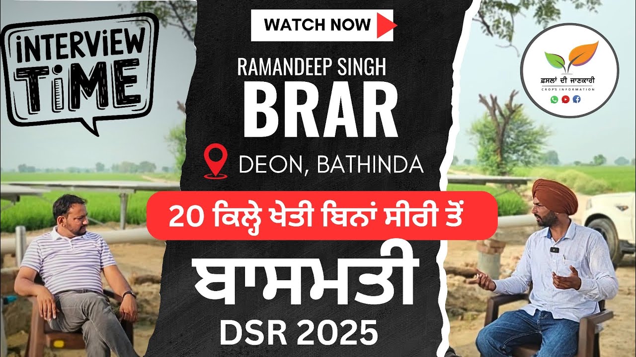 ਬਾਸਮਤੀ ਸਿੱਧੀ ਬਿਜਾਈ:20 ਕਿੱਲਿਆਂ ਦੀ ਖੇਤੀ ਬਿਨਾਂ ਸਿਰੀ DSR basmati Pb1401, pb1121, Pb1692