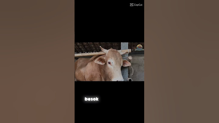 STORY' SAPI REYMOND SETIA FARM #PART 2