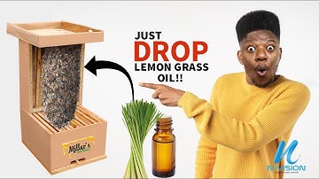 How to Attract a Bee Swarm | Bait hive guide #beekeeping