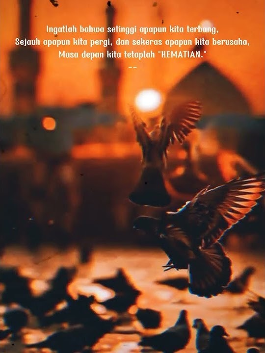 story wa 30 detik sholawat