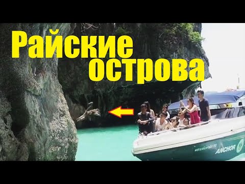 Видео: Фи Пи арлууд - Тайландын ботанид хийх зүйлс