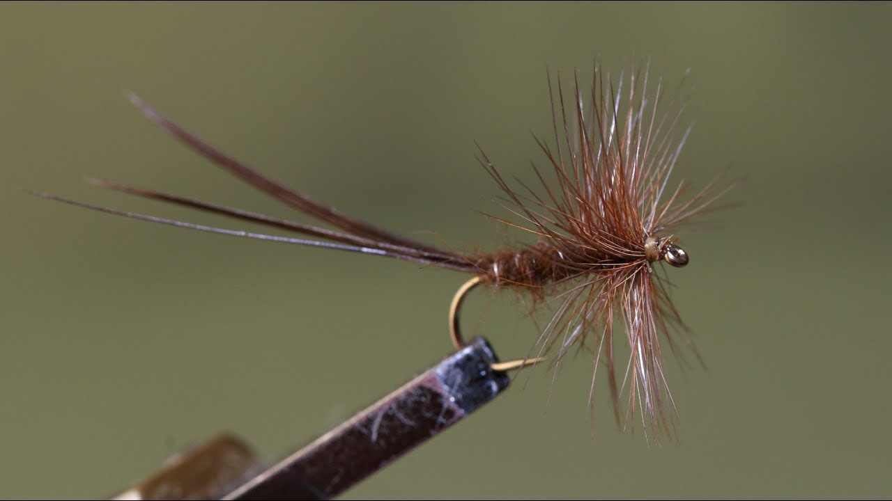 March Brown 2 hackles YouTube