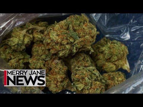 The Best Ways to Preserve Your Weed | MERRY JANE News